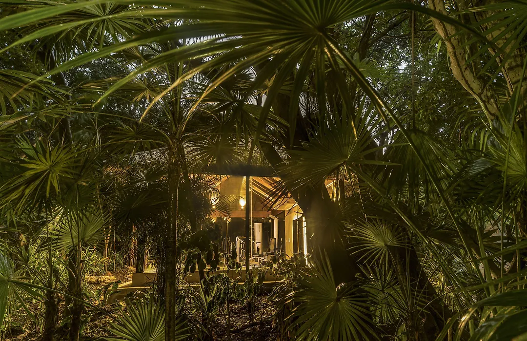 Viceroy Riviera Maya, A Luxury Villa Resort - Adults Only-1