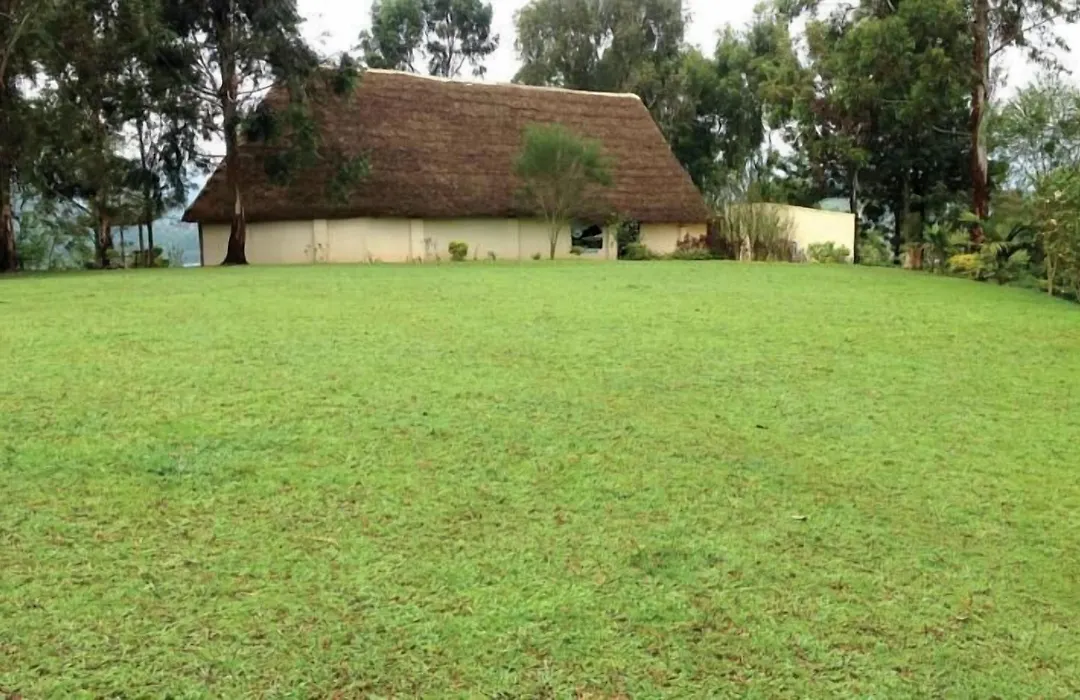 Lake Bunyonyi Eco Resort-1