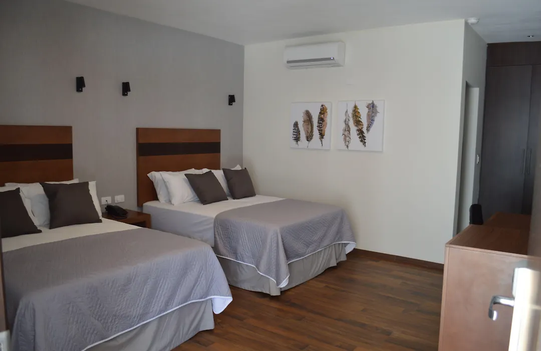 Hotel Plaza Catedral-1