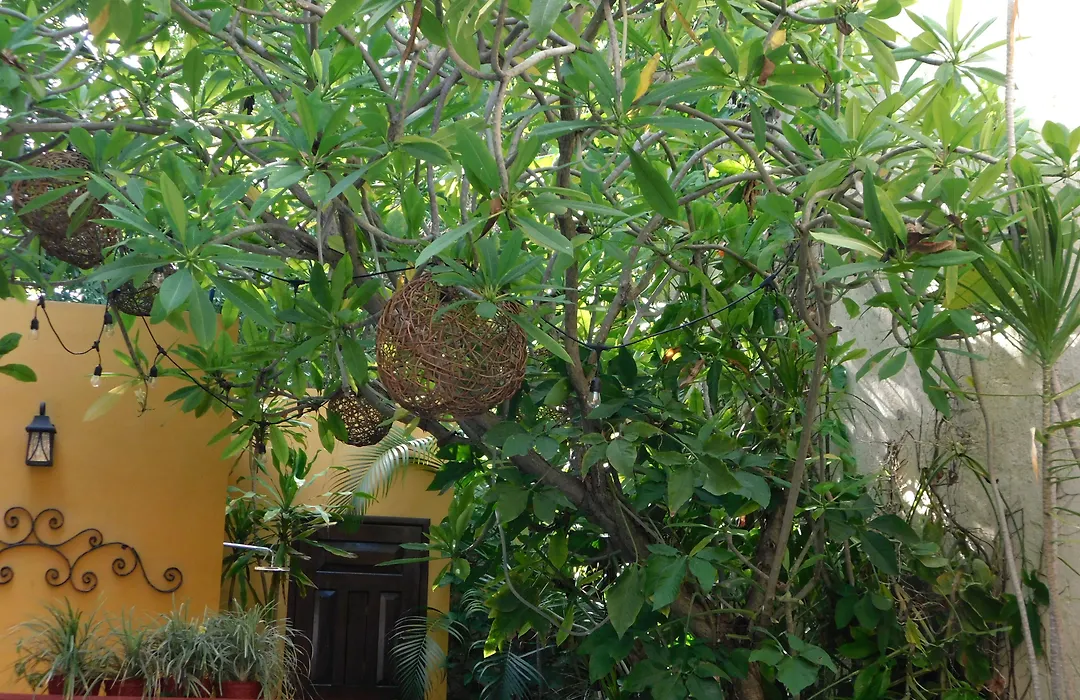 Hotel Boutique Casa Flor de Mayo-1