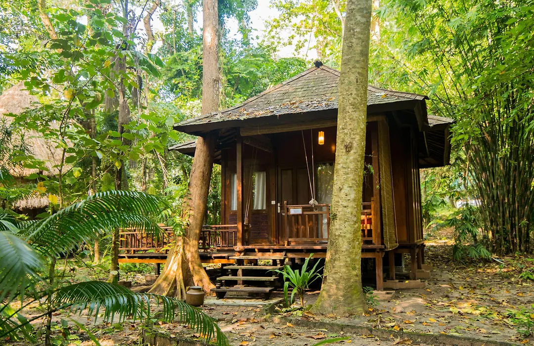 The Barefoot At Havelock-1