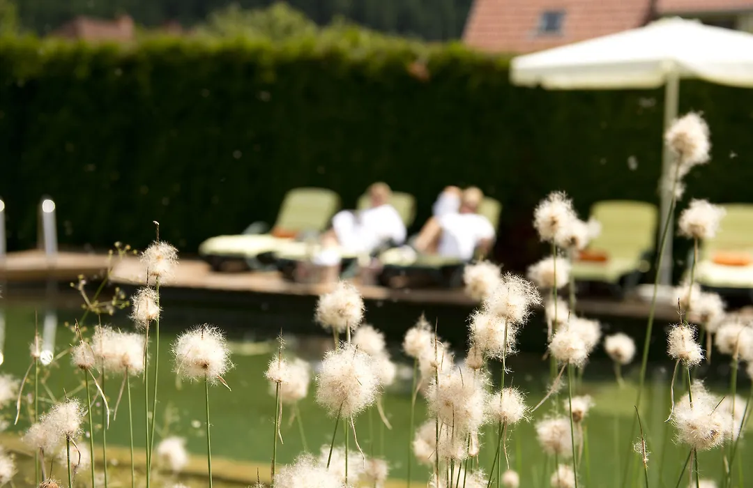 Roho Murau Hotel Rosenhof Murau-1