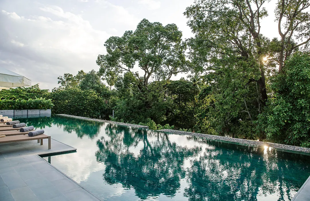 Treeline Urban Resort-1