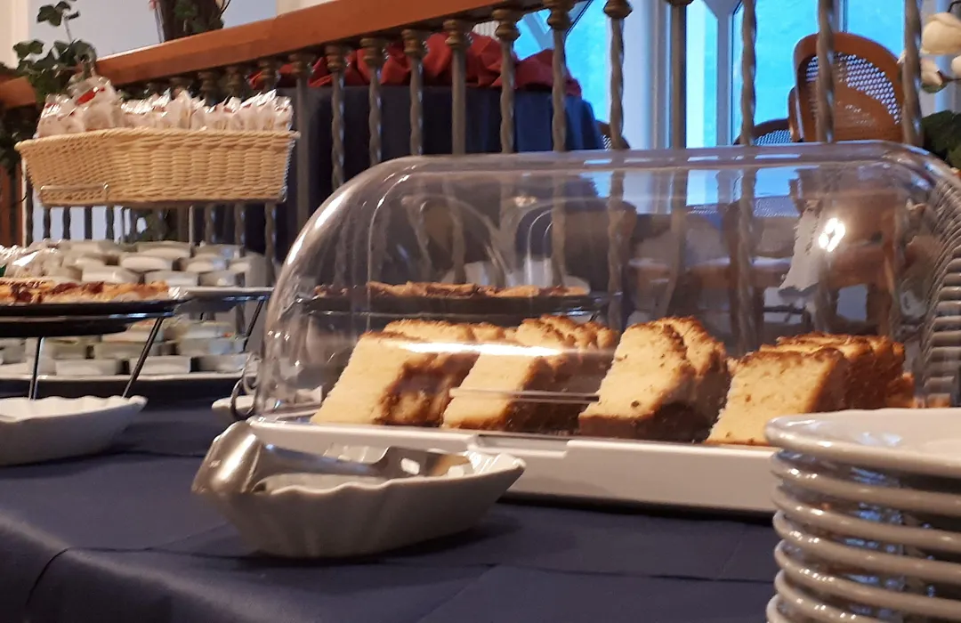 Miramonti Hotel Saint Vincent-1