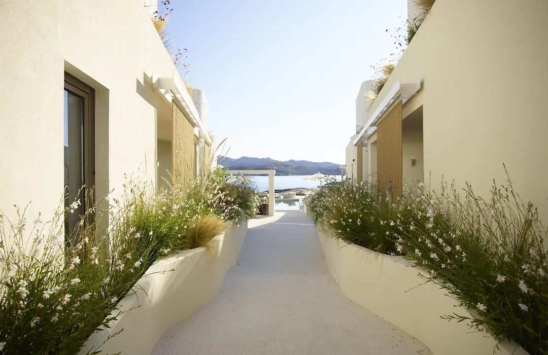 White Pebble Suites-1