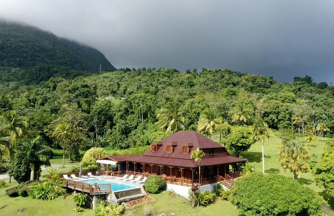 Jardin Malanga-1