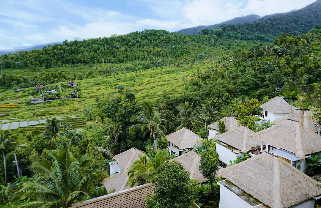 Maha Hills Resort By Mahaprana Experience-1