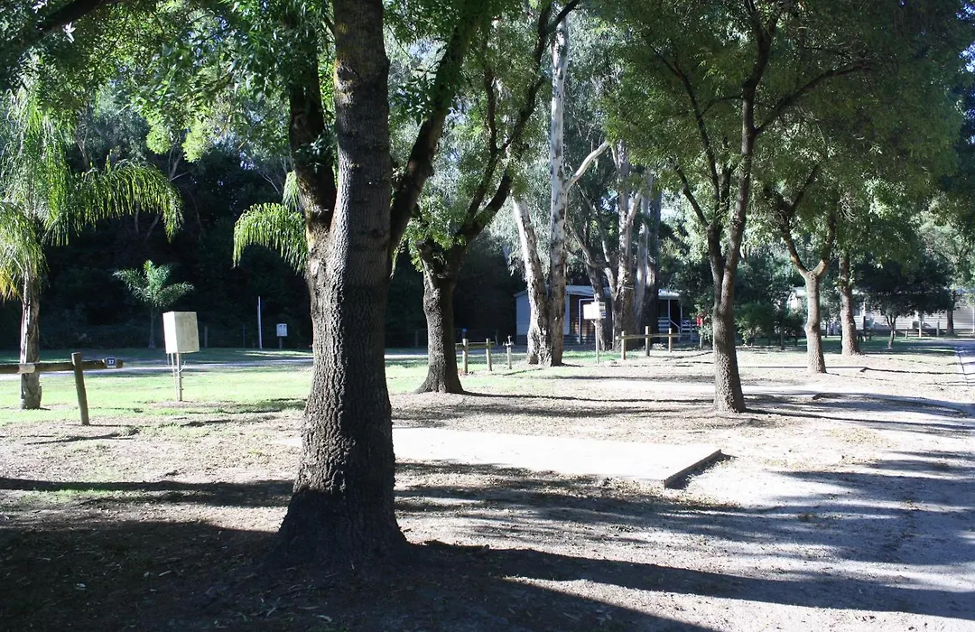 Big4 Tiny Away Stay - Seymour Riverside-1