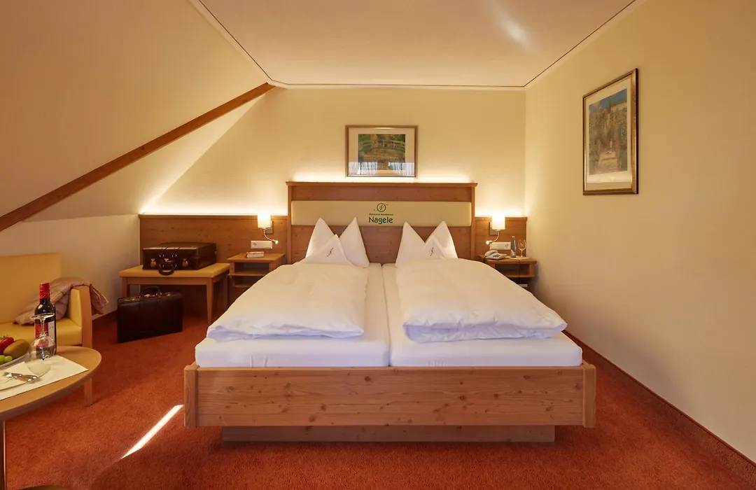 Wander-&Wellnesshotel Nägele-1