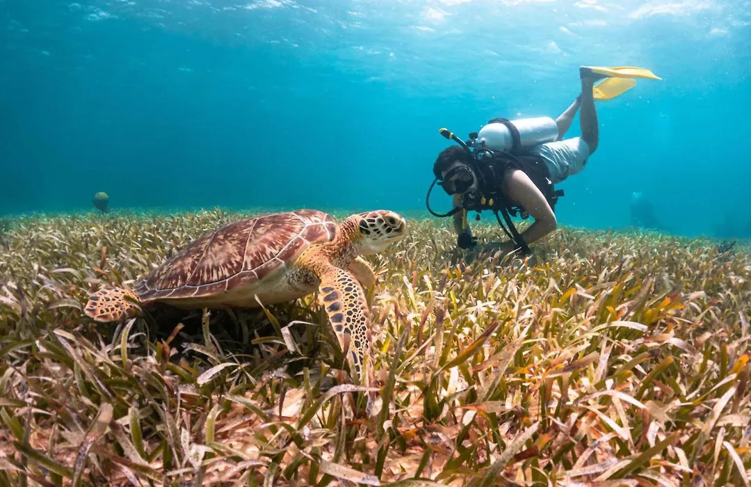 Reef Haven Belize-1