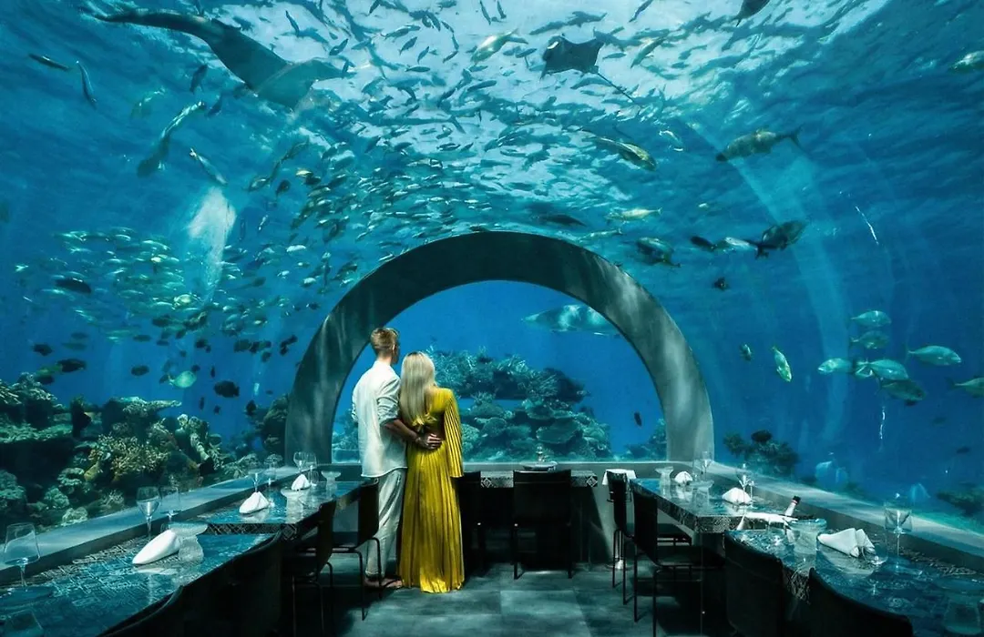 You & Me Maldives - Adults Only - Premium All-Inclusive-1