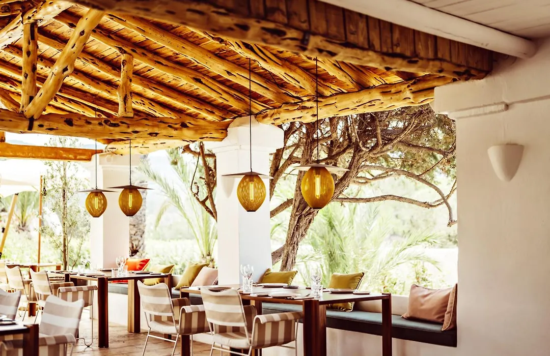 Petunia Ibiza, A Beaumier Hotel (Adults Only)-1