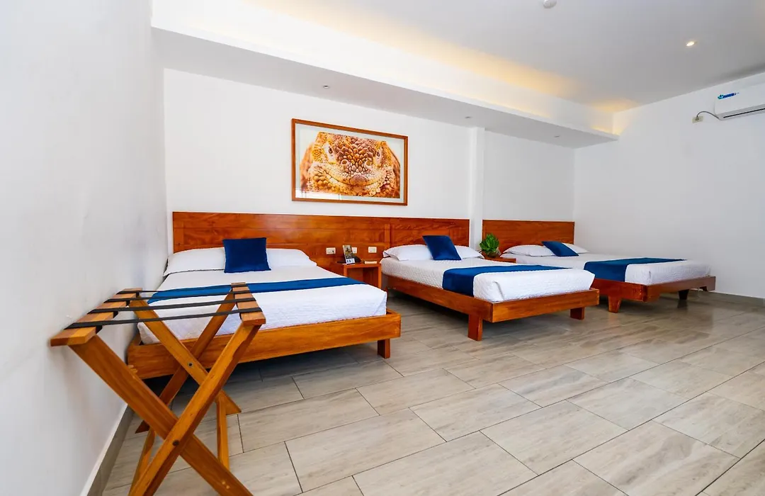 Hotel Ninfa-1
