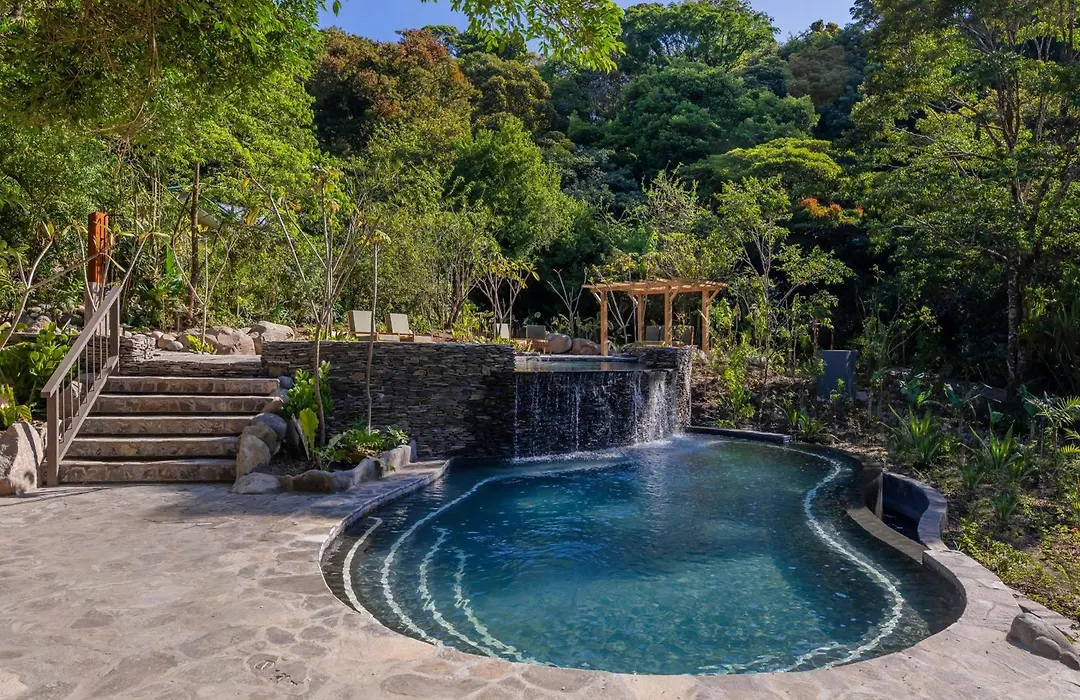 Senda Monteverde Hotel Member Of The Cayuga Collection-1