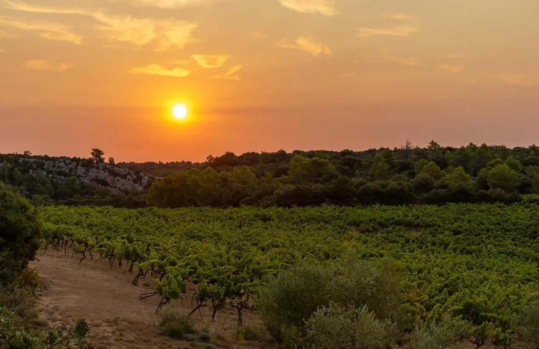 Hôtel de Castigno - Wine Hotel&Resort-1