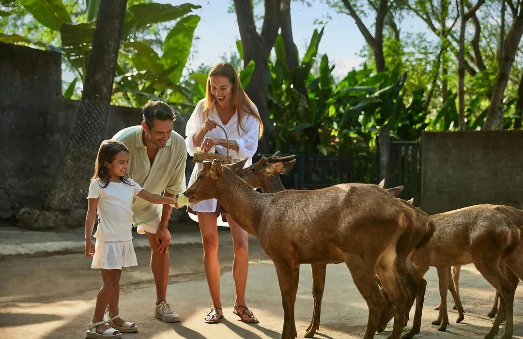 The Sira, A Luxury Collection Resort And Spa, Lombok-1