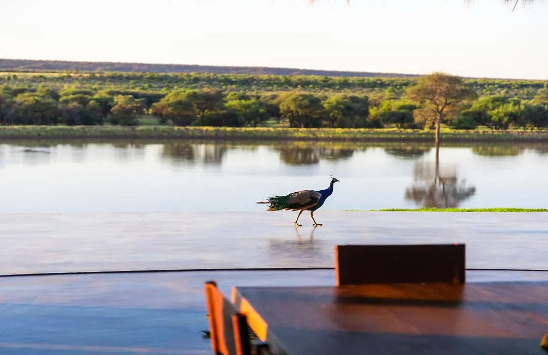 Wabi Private Luxury Game Reserve-1