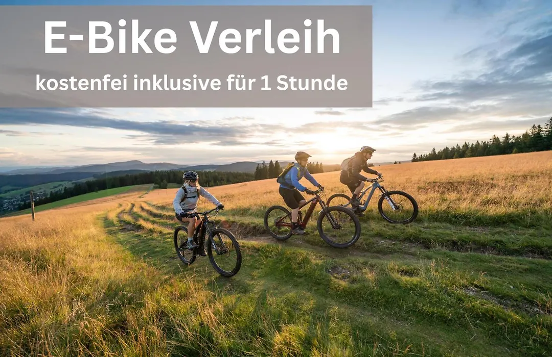 Das Waldhotel - Genuss&Wellness am Notschreipass-1