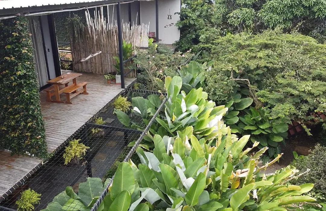 Natural Luxury Birding Lodge - Premium Birdwatching Near Cali-1