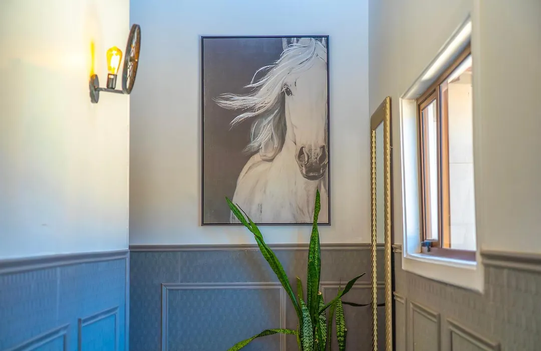 Hare Nua Hotel Boutique-1