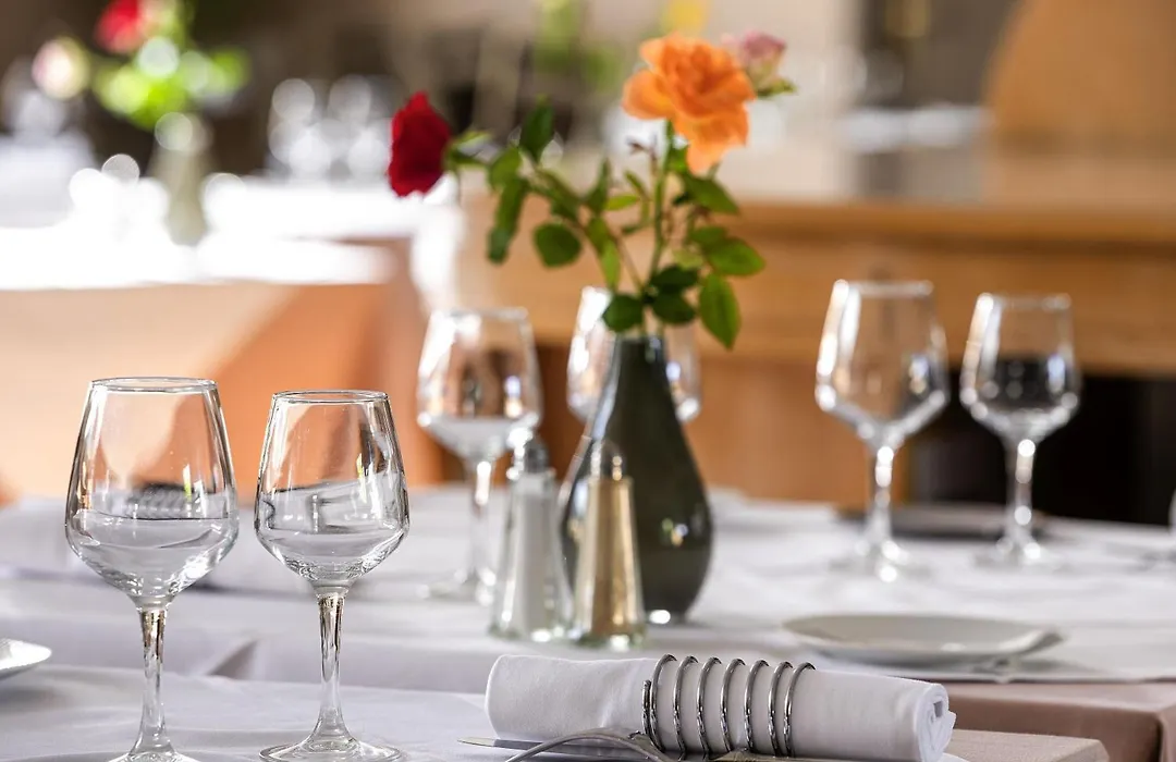 Mercure Castres L'Occitan-1