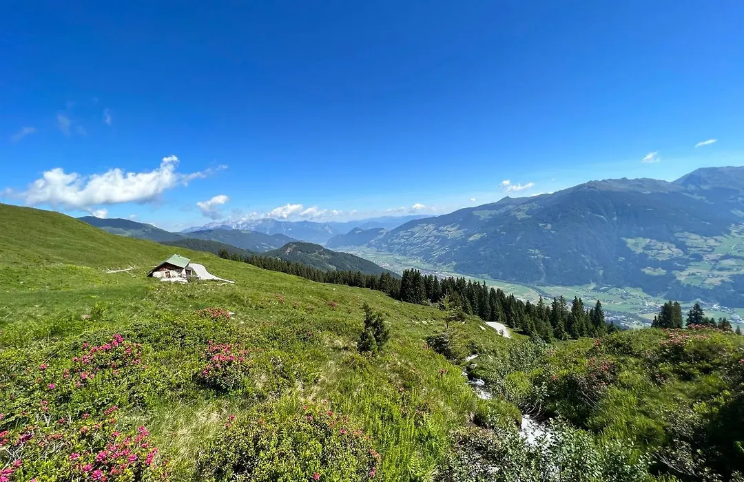 Berggasthof Platzlalm-1