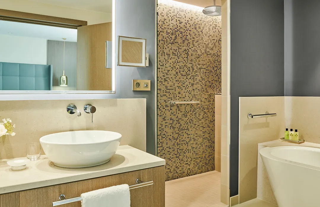 Intercontinental Lyon - Hotel Dieu By Ihg-1