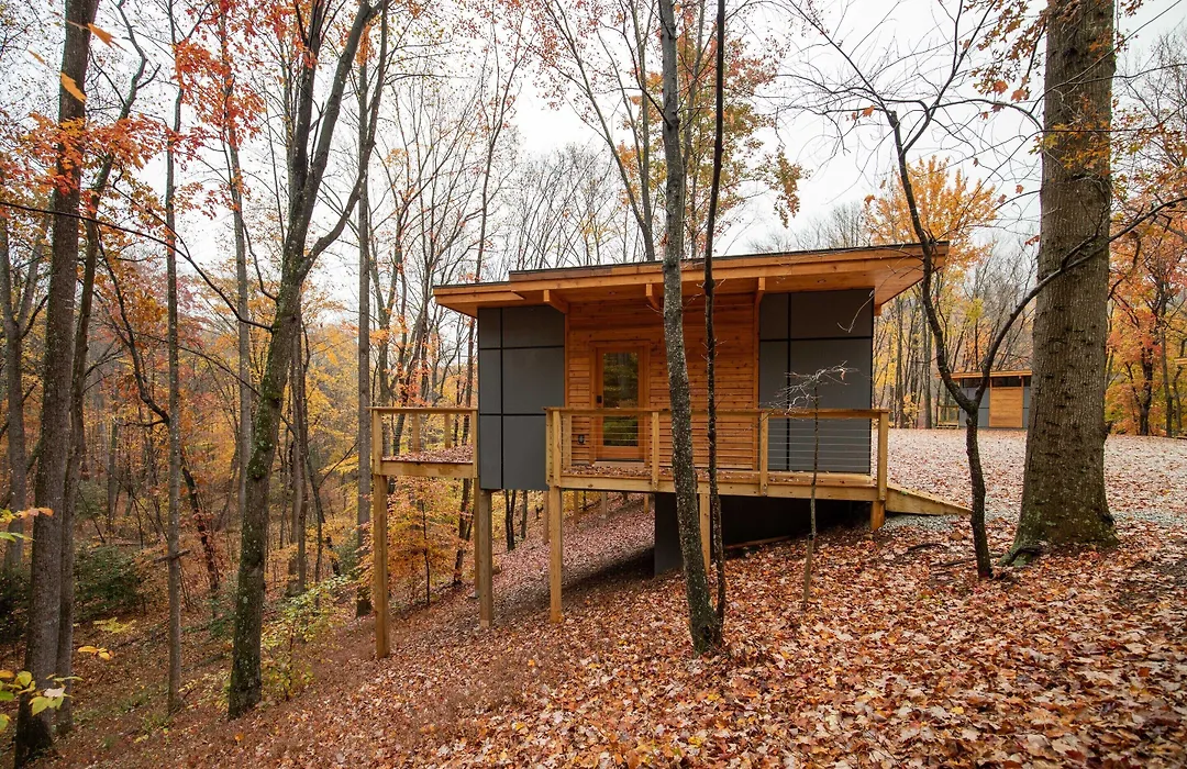 Piedmont Grove-1