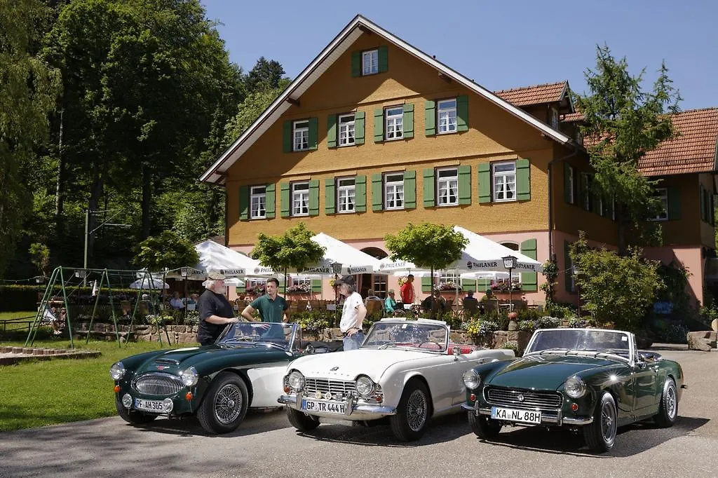 Hotel Zur alten Mühle-1