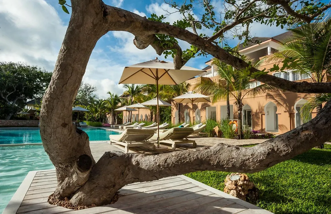 Medina Palms-1