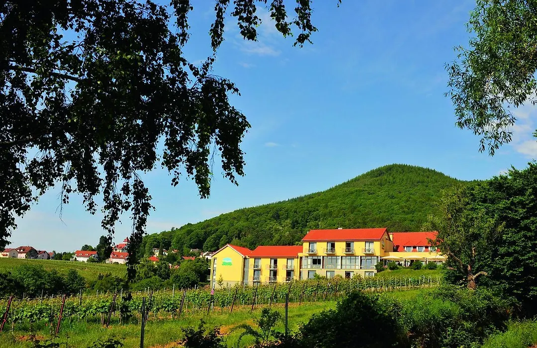 Wohlfühlhotel Alte Rebschule-1