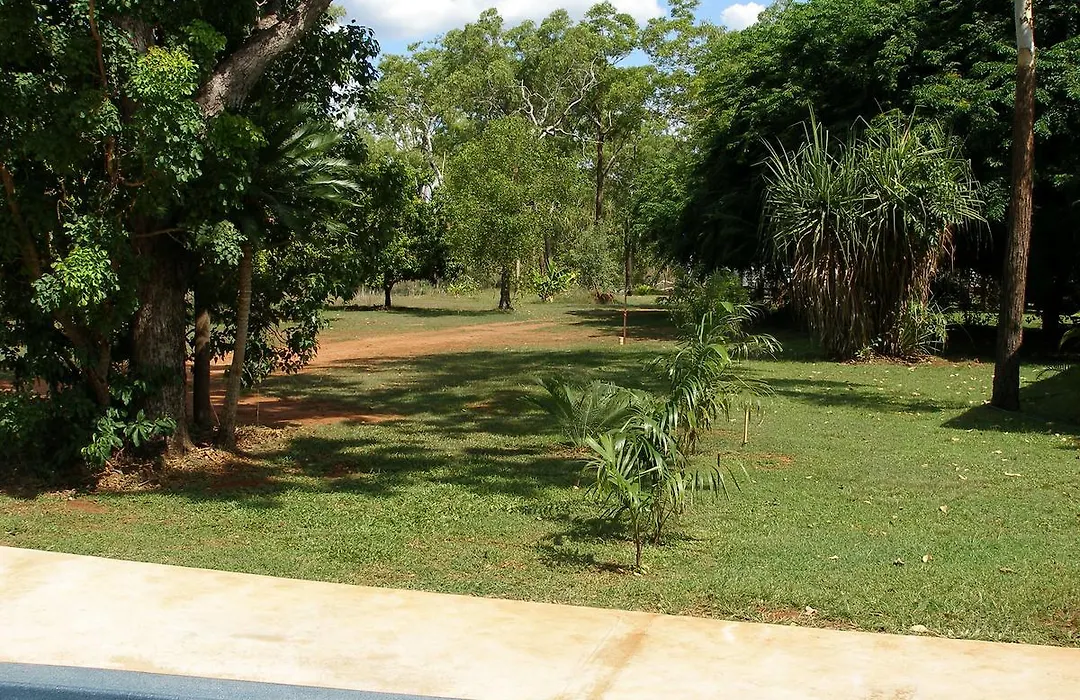 Pandanus On Litchfield-1