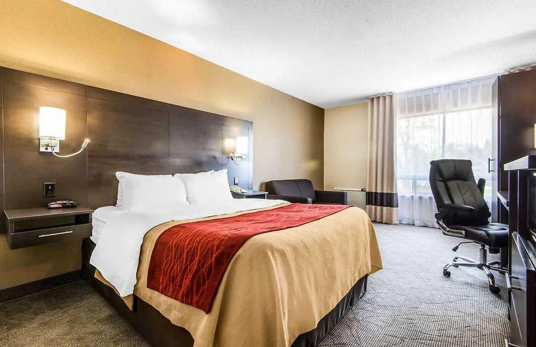 Comfort Inn-1