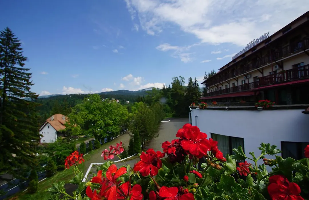 Hotel Rozmarin-1