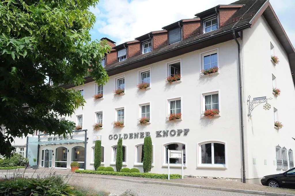 Hotel Goldener Knopf-1