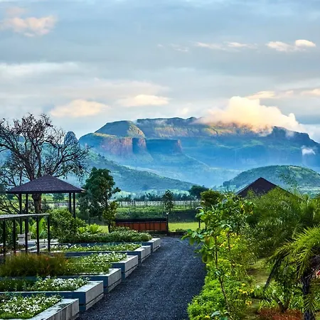 Viveda Wellness Resort-3