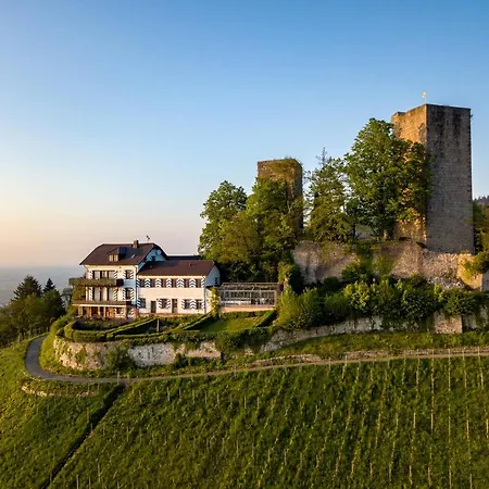 Burg Windeck ***S-2