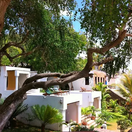 Peponi Hotel Lamu - Kenya-3