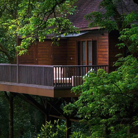 The Tamara Coorg-2