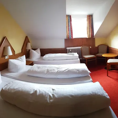 Meister Baer Hotel Frankenwald-2