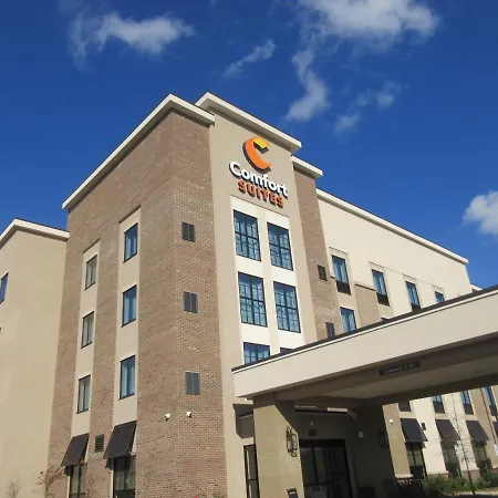 Comfort Suites Summerville-2