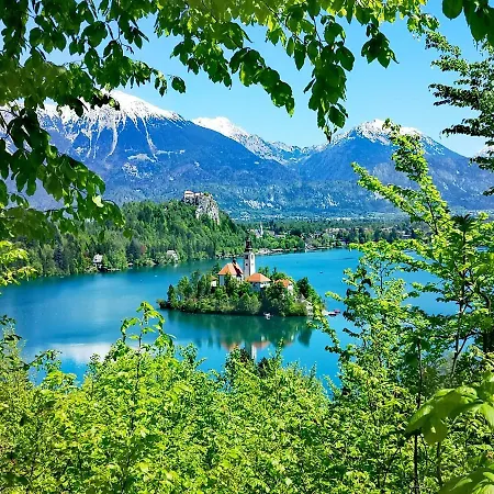 Ribno Alpine Hotel-2