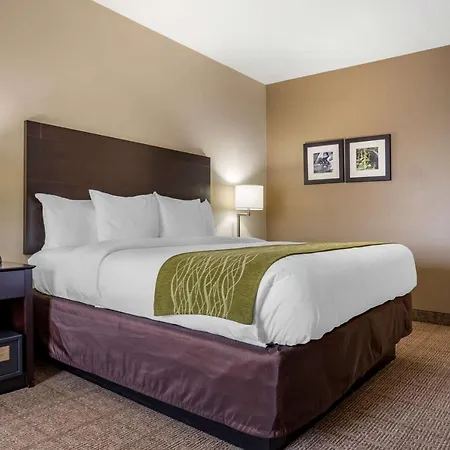Comfort Inn & Suites Scott-West Lafayette-2
