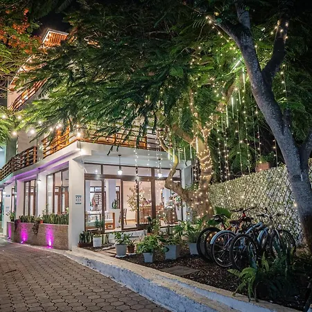 Hotel La Isla-2
