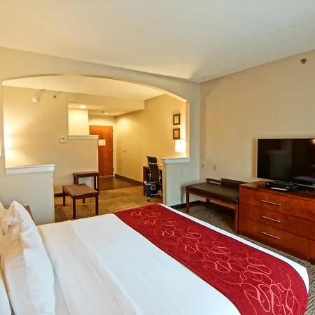 Comfort Suites Near University-3