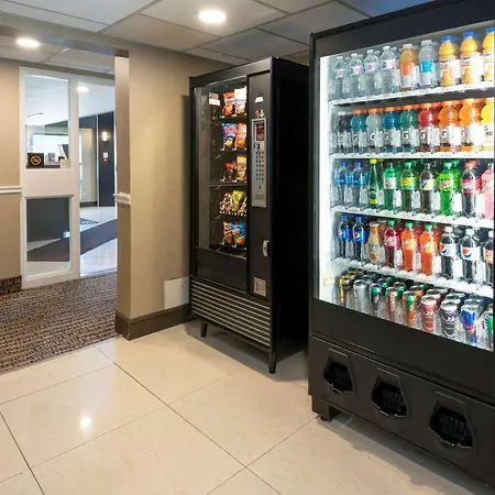 Comfort Inn Lakeshore-3