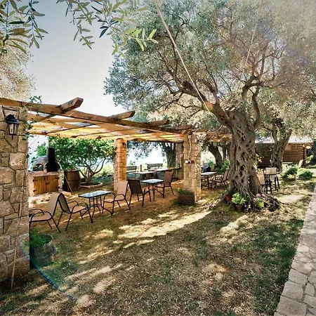 Holiday Park Olive Tree-2