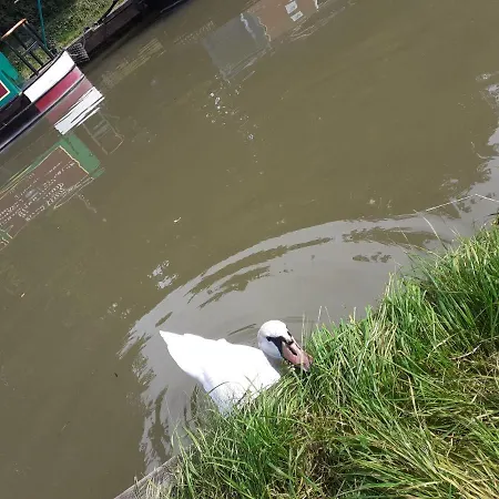 The Barge Inn-2