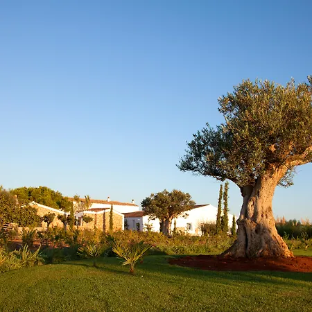 Torralbenc, A Small Luxury Hotel Of The World-3