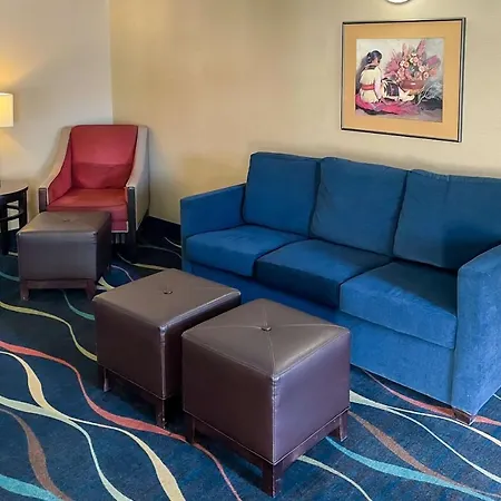 Comfort Inn & Suites Midtown-2